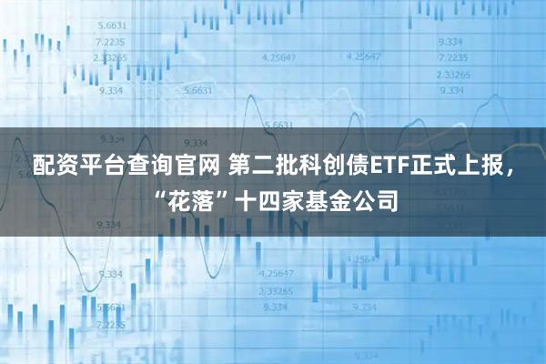配资平台查询官网 第二批科创债ETF正式上报，“花落”十四家基金公司