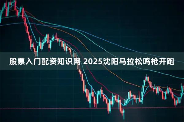 股票入门配资知识网 2025沈阳马拉松鸣枪开跑