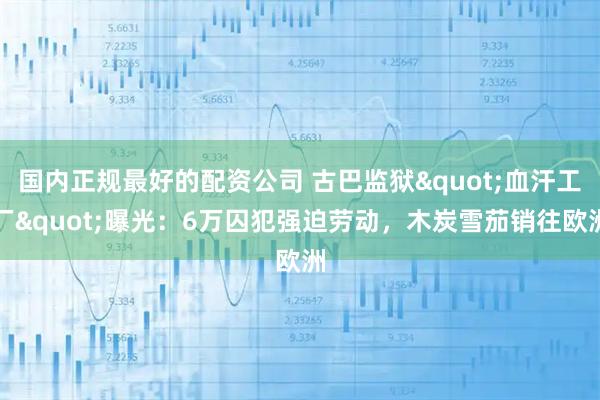 国内正规最好的配资公司 古巴监狱&quot;血汗工厂&quot;曝光：6万囚犯强迫劳动，木炭雪茄销往欧洲