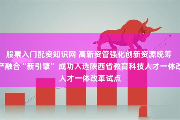 股票入门配资知识网 高新资管强化创新资源统筹 打造科产融合“新引擎” 成功入选陕西省教育科技人才一体改革试点