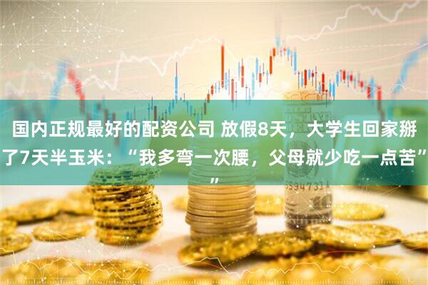 国内正规最好的配资公司 放假8天，大学生回家掰了7天半玉米：“我多弯一次腰，父母就少吃一点苦”