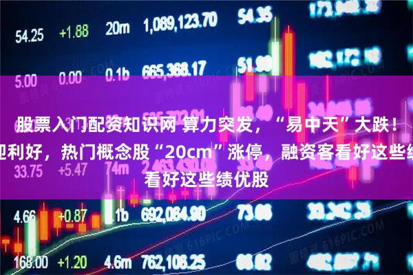 股票入门配资知识网 算力突发，“易中天”大跌！行业迎利好，热门概念股“20cm”涨停，融资客看好这些绩优股