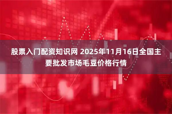 股票入门配资知识网 2025年11月16日全国主要批发市场毛豆价格行情