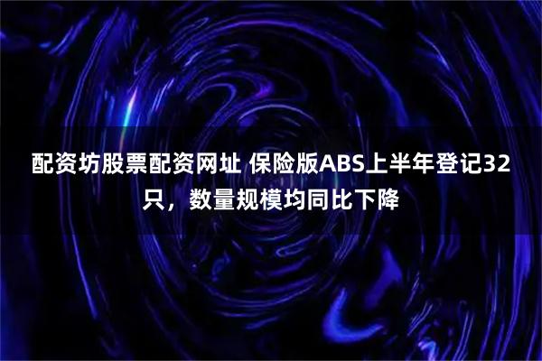 配资坊股票配资网址 保险版ABS上半年登记32只，数量规模均同比下降
